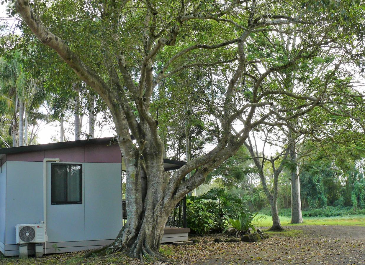 Lismore Lake Holiday Park Exteriér fotografie